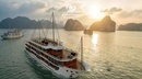 Amour Cruise