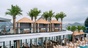 Dolphin Halong Cruise