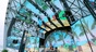 Dolphin Halong Cruise