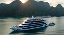 Halora Nova Cruise