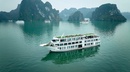 Amanda Pearl Cruise