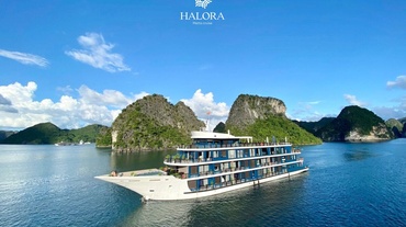 Metta Cruise