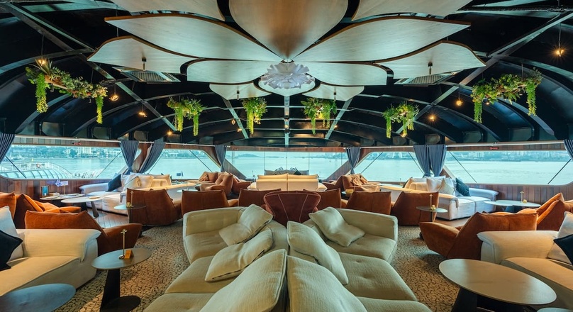 Dolphin Halong Cruise