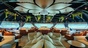 Dolphin Halong Cruise