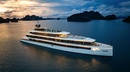 La SEN of the Bay Cruise