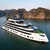 Tulip Cruise