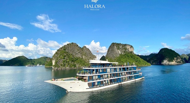 Metta Cruise