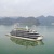 Velar Of the Seas Cruise