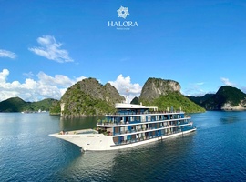 Metta Cruise