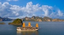 Peony Cruise