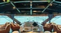 Dolphin Halong Cruise