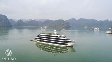 Velar Of the Seas Cruise