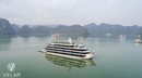 Velar Of the Seas Cruise