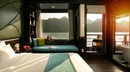 Peony Cruise