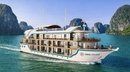 Oris Cruise