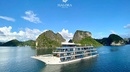 Metta Cruise