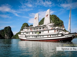 Signature Cruise