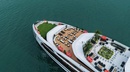 Celina of the Sea Cruise
