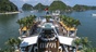 Dolphin Halong Cruise