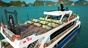 Amethyst Cruise