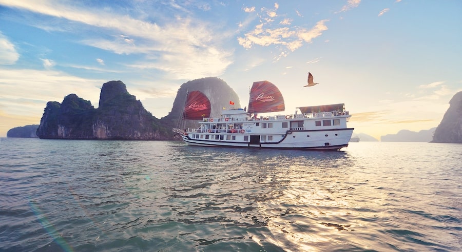 Renea Cruise in Bai Tu Long Bay